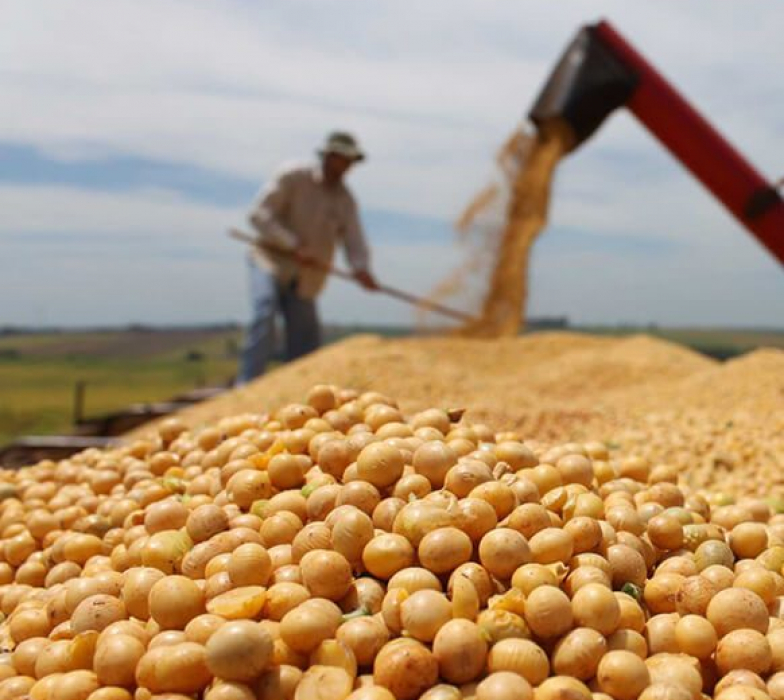 agricultura-soja-infocampo (1)