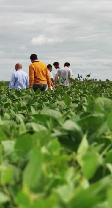 cuidado-cultivos-1200x675