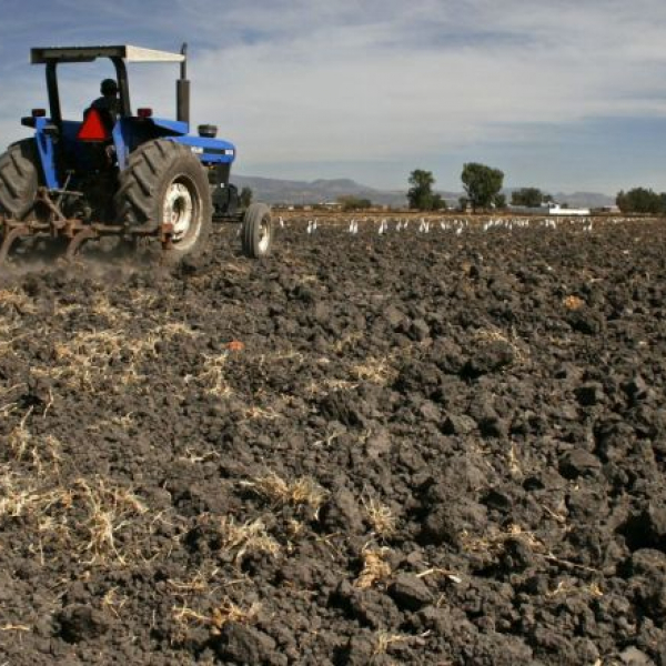 preparacion del suelo